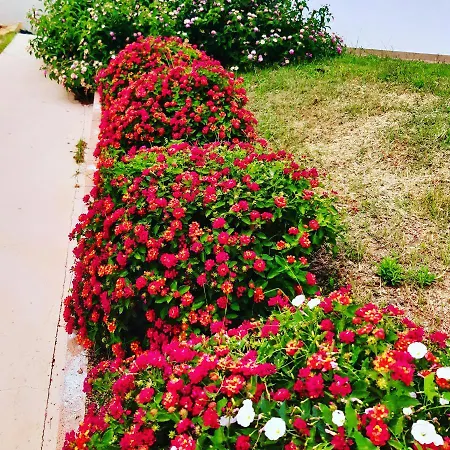 Frühstückspension Sole&sale