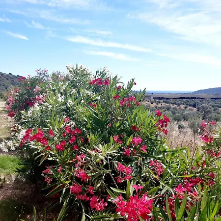 Sole&sale Bed and breakfast San Teodoro (Sardinia)