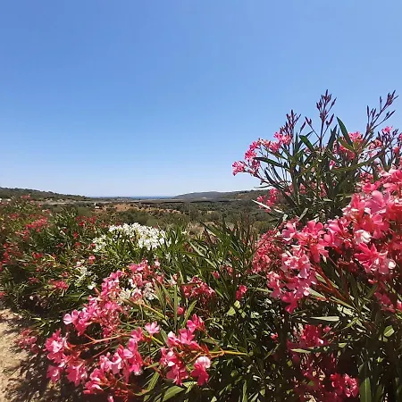 Sole&sale Bed and Breakfast San Teodoro (Sardinia)