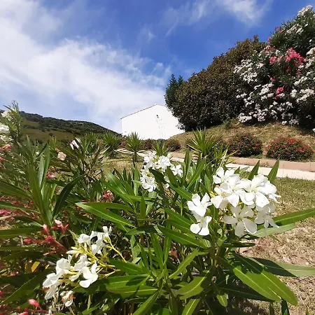 Sole&sale 4* サン・テオドーロ