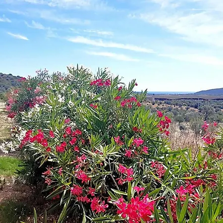 Sole&sale Сан-Теодоро